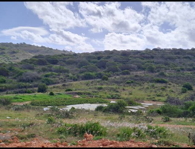 3 BEDROOM HOUSE FOR SALE IN OUTENIQUASBOSCH